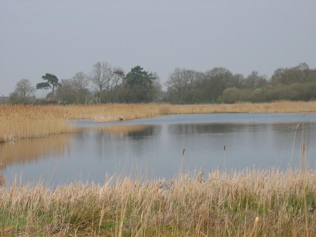 Redgrave and Lopham Fen